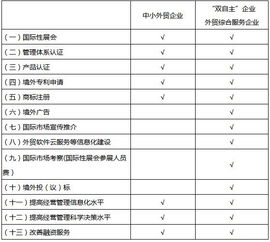 北京市外经贸发展资金支持外贸企业提升国际化经营能力实施方案解读 网站开发与运营的关键作用