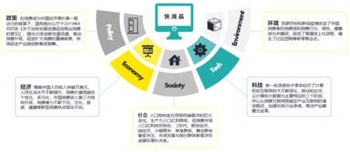 数字心智运营 把握时代机遇，论中国快消品企业D2C转型趋势及北京企业网站开发与运营