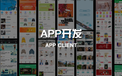 货运APP定制开发与北京企业网站开发运营全解析